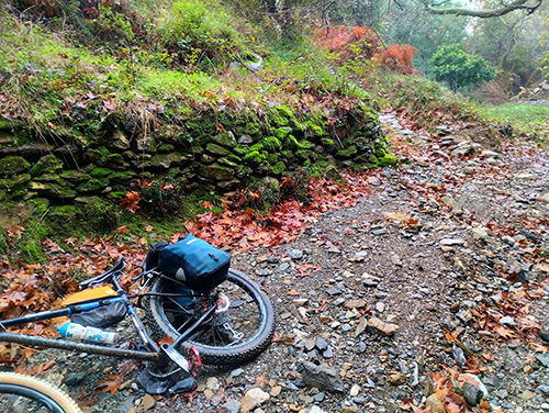 Bicycle Rentals in Skopelos
