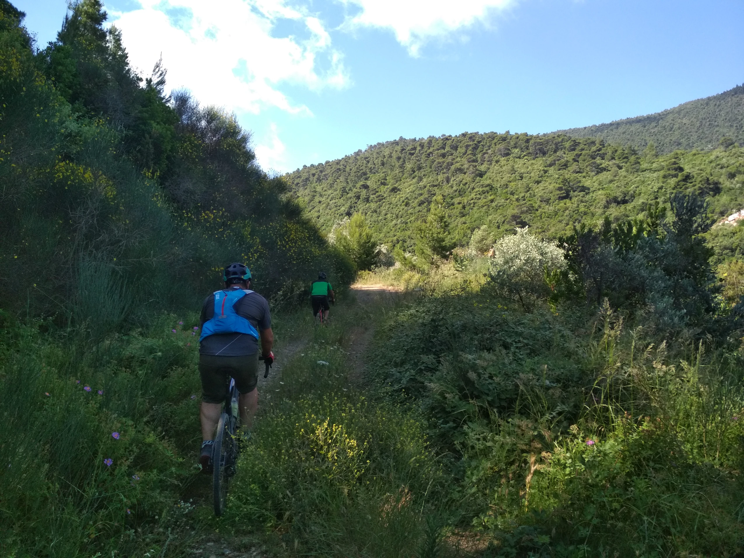Guided cycling tours in Skopelos, Sporades