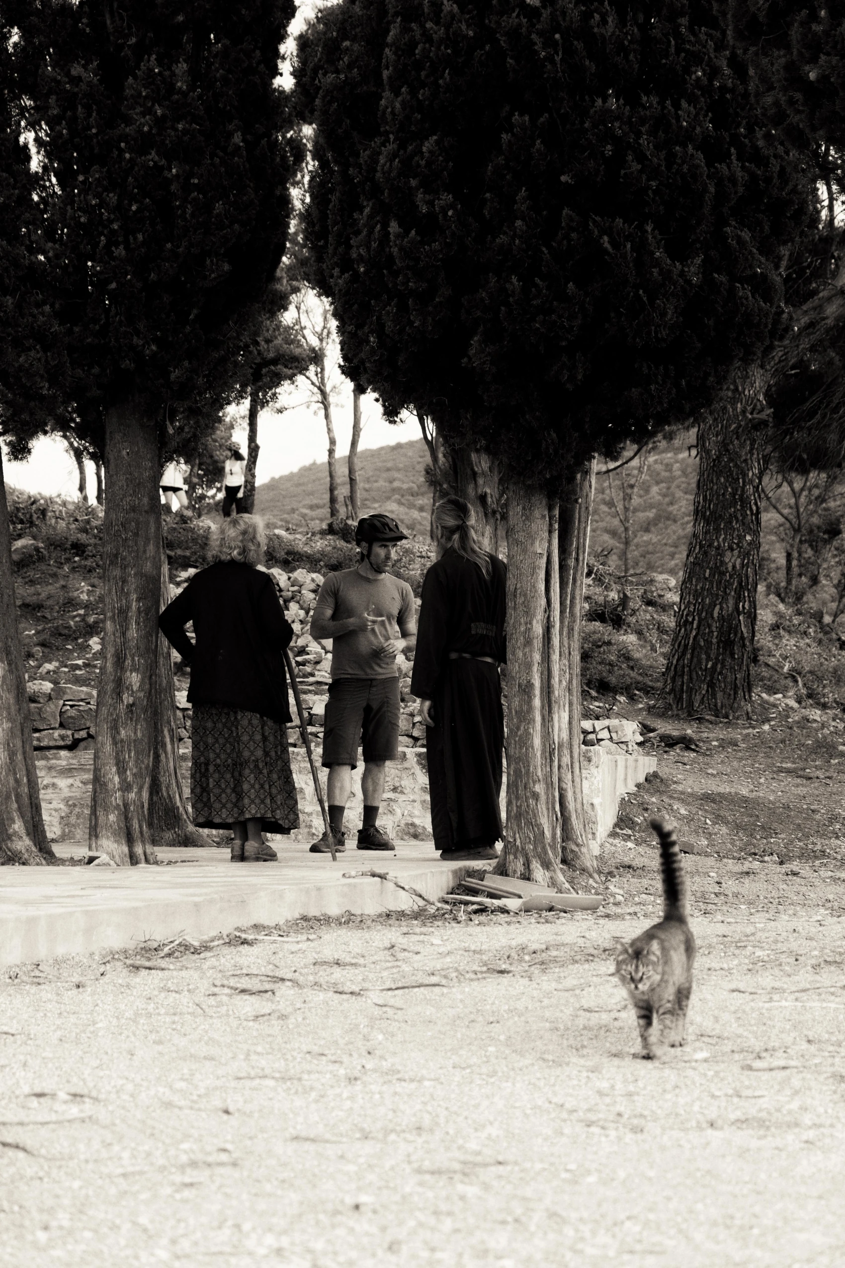 skopelos cycling tour 7